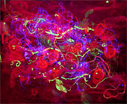 Click here to see some enlargements of 'Burning His Roses'