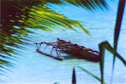 View of a traditional canoe