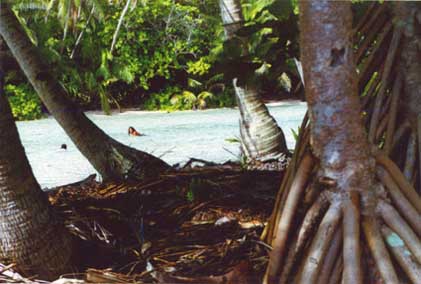 Matagi tonga, an islet of Fakaofo